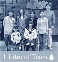 1 Litre of Tears OST
